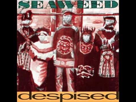 Seaweed – Selfish